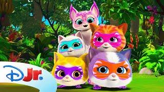 SuperKitties Su-Purr Adventures | NEW | "Let's Go Su-Purr Wild!" Song  |  @disneyjr
