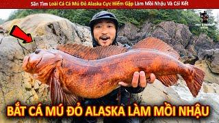 Săn Tìm Loài Cá Cá Mú Đỏ Alaska Cực Hiếm Gặp Làm Mồi Nhậu Và Cái Kết || Review Giải Trí Đời Sống