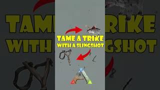 Ark Trike Slingshot