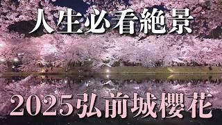青森弘前城櫻花絕景2025一生至少要看一次！八戶空中櫻花腳踏車 黑尾鷗鋪天蓋地的蕪嶋神社｜拉麵 燒肉 壽司｜日本東北 4K VLOG