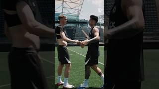 Enzo vs Palmer 