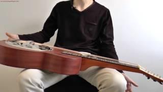 [FREE Beginner Series] How To Hold A Dobro?