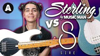 Sire Z Series vs Sterling Stingray Bass Guitar Shootout!