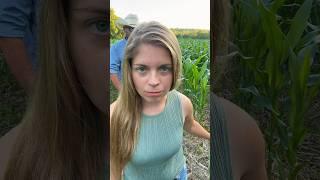 His corn looks fantastic! Don’t it?#familyfarm #BENICE#trend#funny#farmer#farmwife#corn