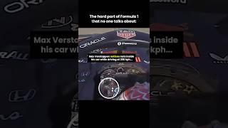 Sebastian Vettel And Max Verstappen Are Like Two Peas in A Pod in Formula 1!