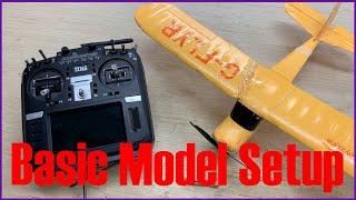 How to Set Up DSMX BNF Planes with the RadioMaster TX16S (Tutorial)