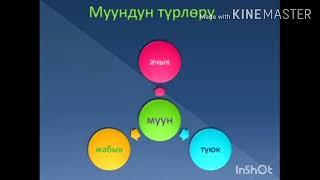 5-класс. Кыргыз тили.Муун жана анын түрлөрү