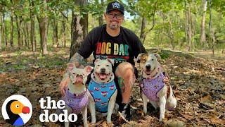 Guy Keeps Adopting Deaf Dogs Who Help So Many People | The Dodo