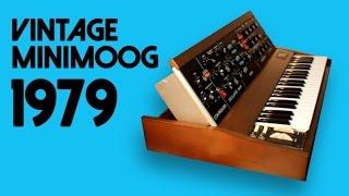 VINTAGE MINIMOOG Model D Analog Synthesizer 1979 | HD DEMO