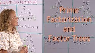 Prime factorization and factor trees