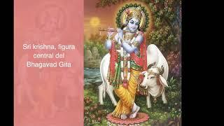 El Gurú en tu Vida - Krishna - The Guru in your Life - Krishna - Juan Ruiz Naupari - PneumaInstitute