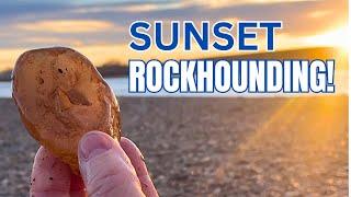 Sunset Rock Hunting on the Yellowstone River - Agatized Wood Bonanza!