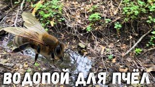 Водопой для пчёл