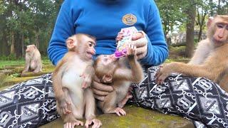 Binky's HILARIOUS Reaction: Crying & Shaking When Mom KT Shares Milk with Winky!