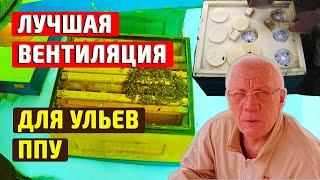 Вентиляция в улье зимой Как устроить вентиляцию в ульях