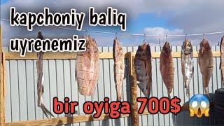 kapchoniy baliq tayyorlash