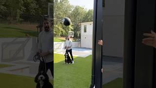 Our dog saved our gender reveal party 