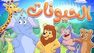 marah tv - قناة مرح|أغنية الحيوانات