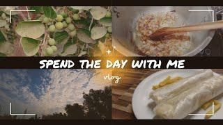 my first vlog  outing and  cooking.