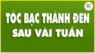 Mẹo Hay Giúp Tóc Bạc Trở Thành Đen Mượt Chỉ Trong Vài Tuần Áp Dụng Ngay | TCL