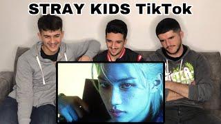 FNF Reacts to Stray Kids Tik Tok Compilation for @daimozone  | Kpop Reaction