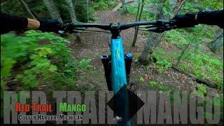 Copper Harbor tech trails| Red Trail | Mango