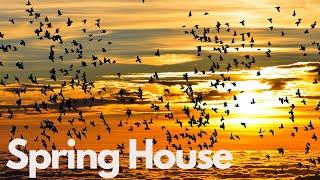 Kapor - Spring House