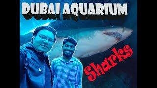 Dubai Aquarium : Underwater tunnel in Dubai mall