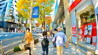 【4K】Japan Walking Tour - Relaxing Morning Walk in Sakae Station, Nagoya