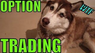 Do People Even Know How To Trade Options?