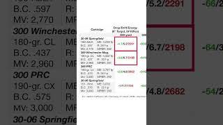 300 Yard Comparison - 30-06 Springfield vs 300 Win  Mag