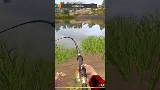 #рыбалка #russianfishing4 #rf4 #рр4 #русскаярыбалка4 #русскаярыбалка4фарм #симулятор