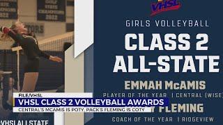 McAmis, Fleming earn VHSL Class 2 Volleyball honors