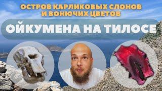 [4] Остров карликовых слонов и вонючих цветов. “Ойкумена на Тилосе”