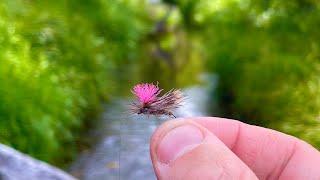 Small Stream Big Dry Fly!