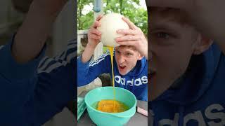 Mircrowaving The World's Biggest Egg #shorts