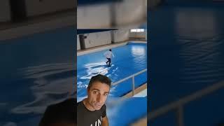 #curiosidades #deporte #pool #parkour #humor #supervivencia #sabiasque @MiguelASSAL