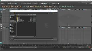 How to import image into Maya 2020