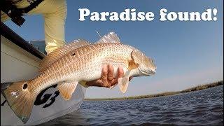 How to find fish in unfamiliar marsh