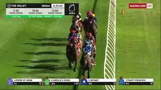 2023 Ladbrokes Stock Stakes 1600M - Mooney Vallley - Amelias Jewel (G2)