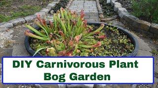 DIY Carnivorous Plant Bog Garden