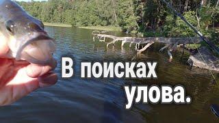 Спиннинг с берега. Окунь на ратлин.  Окунь на джиг.  Щука на джиг. Рыбалка на вертушки.