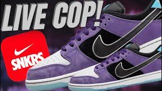 LIVE COP : NIKE SB HALEY WILSON DUNK LOW & STOCK COUNTS ARE EXTREMELY LOW!!