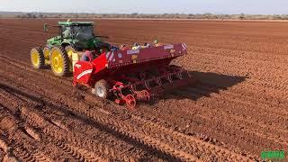 Grimme GL 660 Six row cup planter