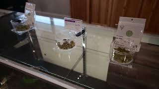 Kinship Canabis Co. now offering recreational marijuana sales