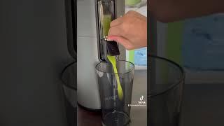 Grüner Smoothie im Hurom H-400 SlowJuicer