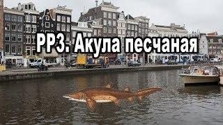 Русская Рыбалка 3 (Russian Fishing). Акула песчаная.