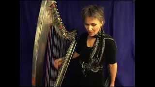 Looper & Harp - How To / Live Show June 20 at Celebration Barn / Deborah Henson-Conant