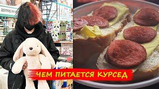 Чем питается Курсед в Украине. Мини обзор на комнату 