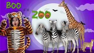 Boo At the Zoo | Learn Animal Names & Sounds with Atrin & Soren | Educational Animal Video for Kids